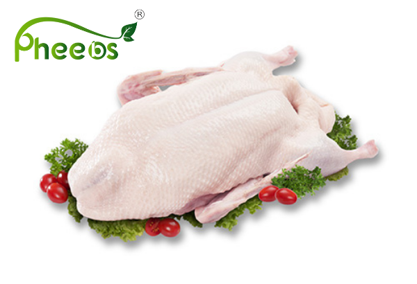 Pheebs - Duck Meat - Fully cleaned - From Malaysia 