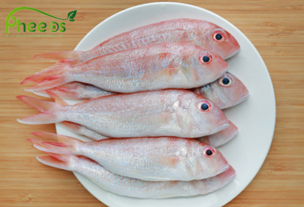 Pheebs White Sankara Fish